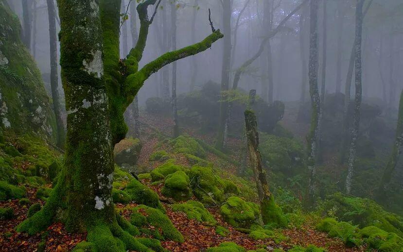 Albergue Armaia Artepea Urzainqui Bagian luar foto