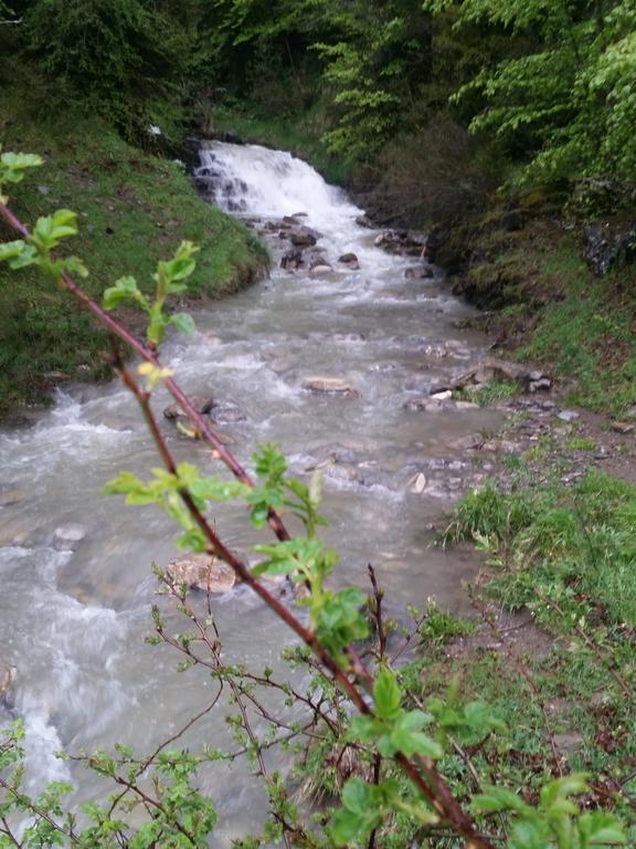 Albergue Armaia Artepea Urzainqui Bagian luar foto