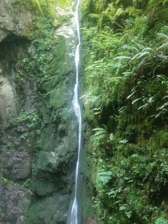 Albergue Armaia Artepea Urzainqui Bagian luar foto
